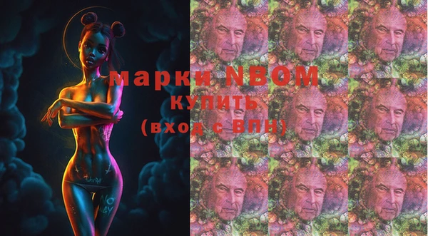 ПСИЛОЦИБИНОВЫЕ ГРИБЫ Алзамай