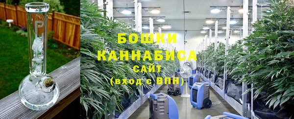 ПСИЛОЦИБИНОВЫЕ ГРИБЫ Алзамай