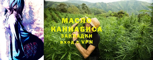 твердый Пересвет