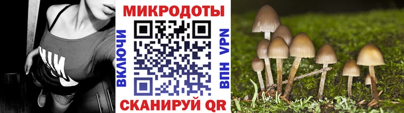 кракен зеркало Светлоград Галлюциногенные грибы Magic Shrooms