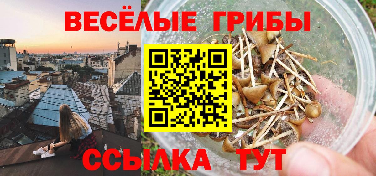 Псилоцибиновые грибы Magic Shrooms Светлоград