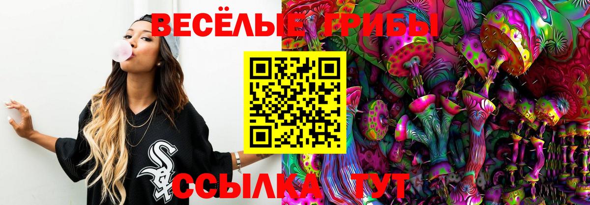 Псилоцибиновые грибы мицелий  Вход с VPN  Псилоцибиновые грибы Cubensis  цены наркотик  Светлоград 