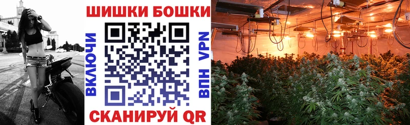 Шишки марихуана гибрид  купить закладку  Светлоград 